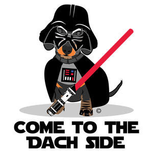 Come To The Dach Side