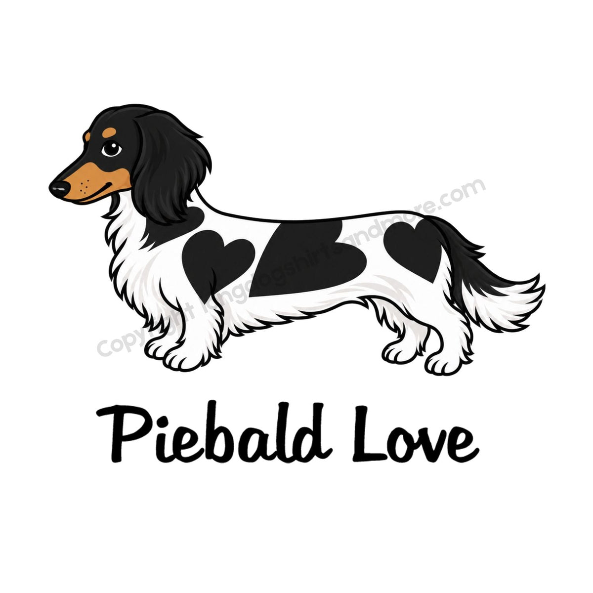 Piebald Love Longhair Black & Tan