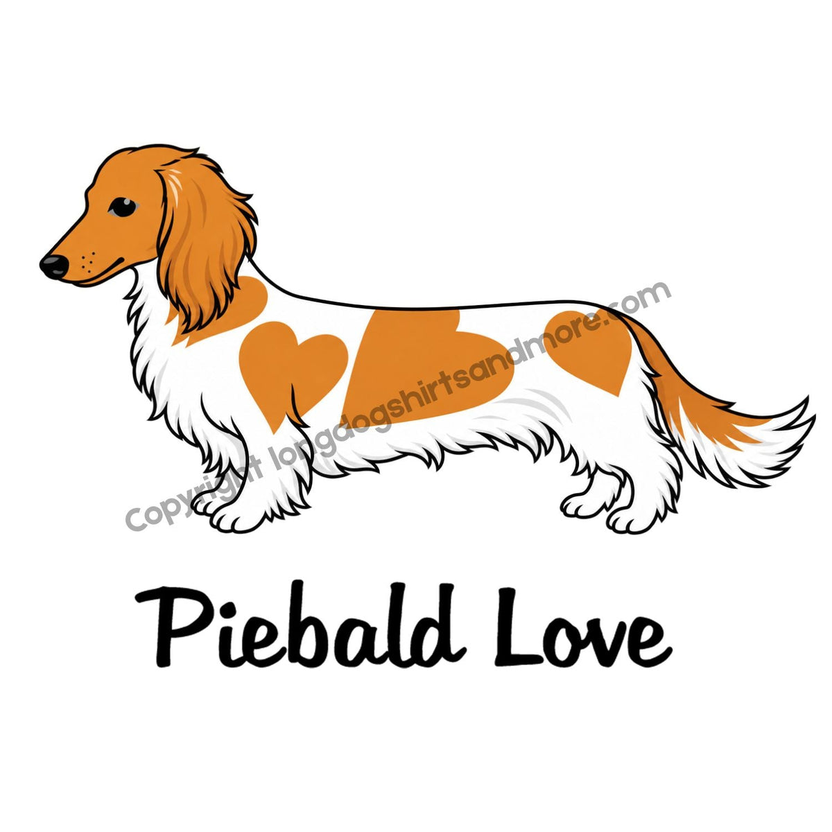 Piebald Love Longhair Red