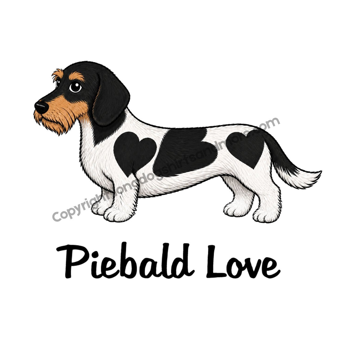 Piebald Love Wirehair Black & Tan