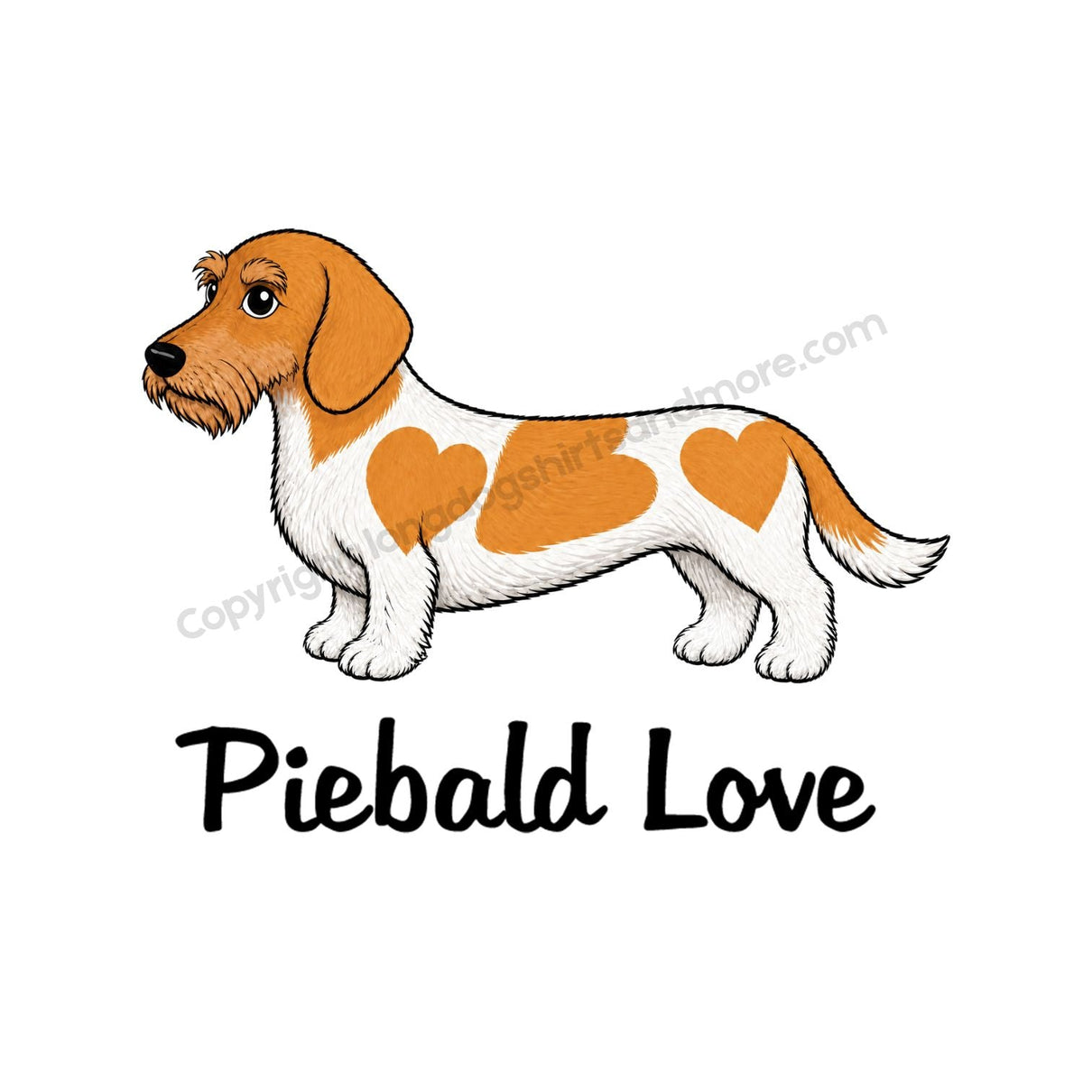 Piebald Love Wirehair Red